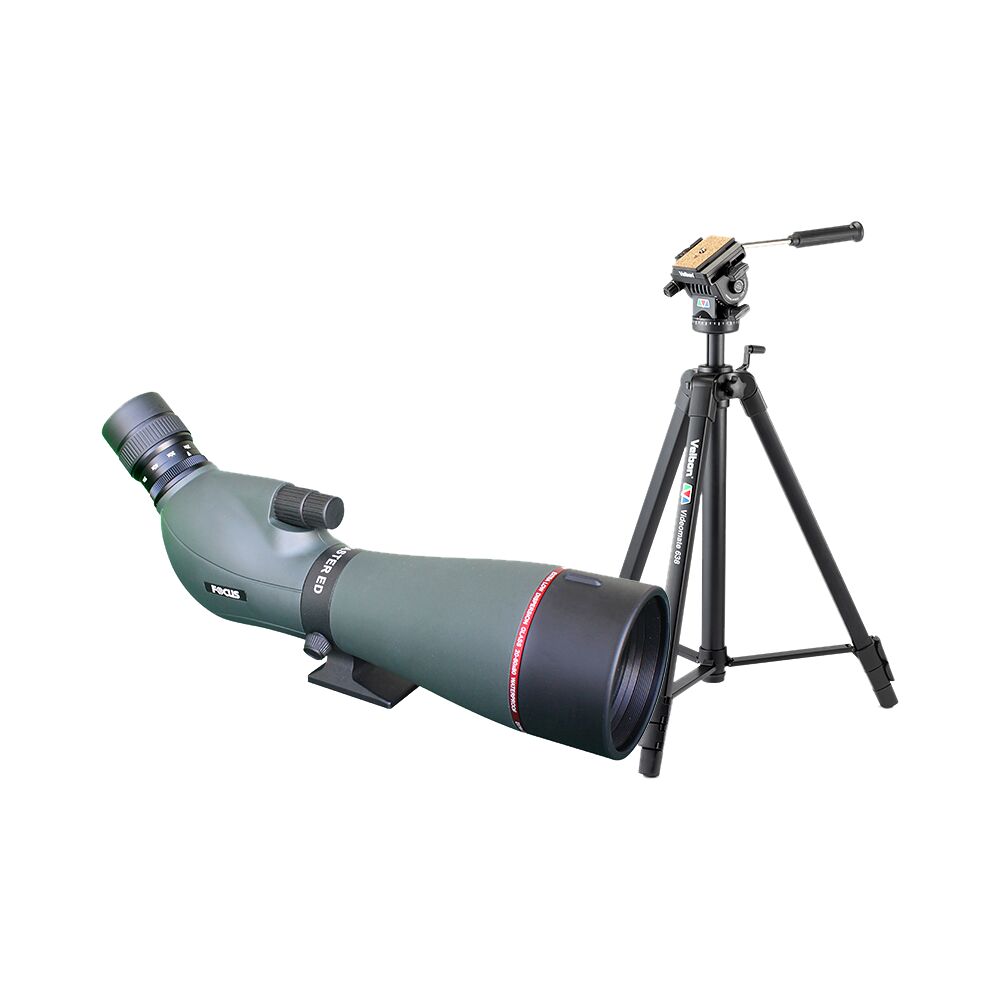 FOCUS OPTICS Kit Focus Viewmaster ED 20-60x80 with Velbon VM638