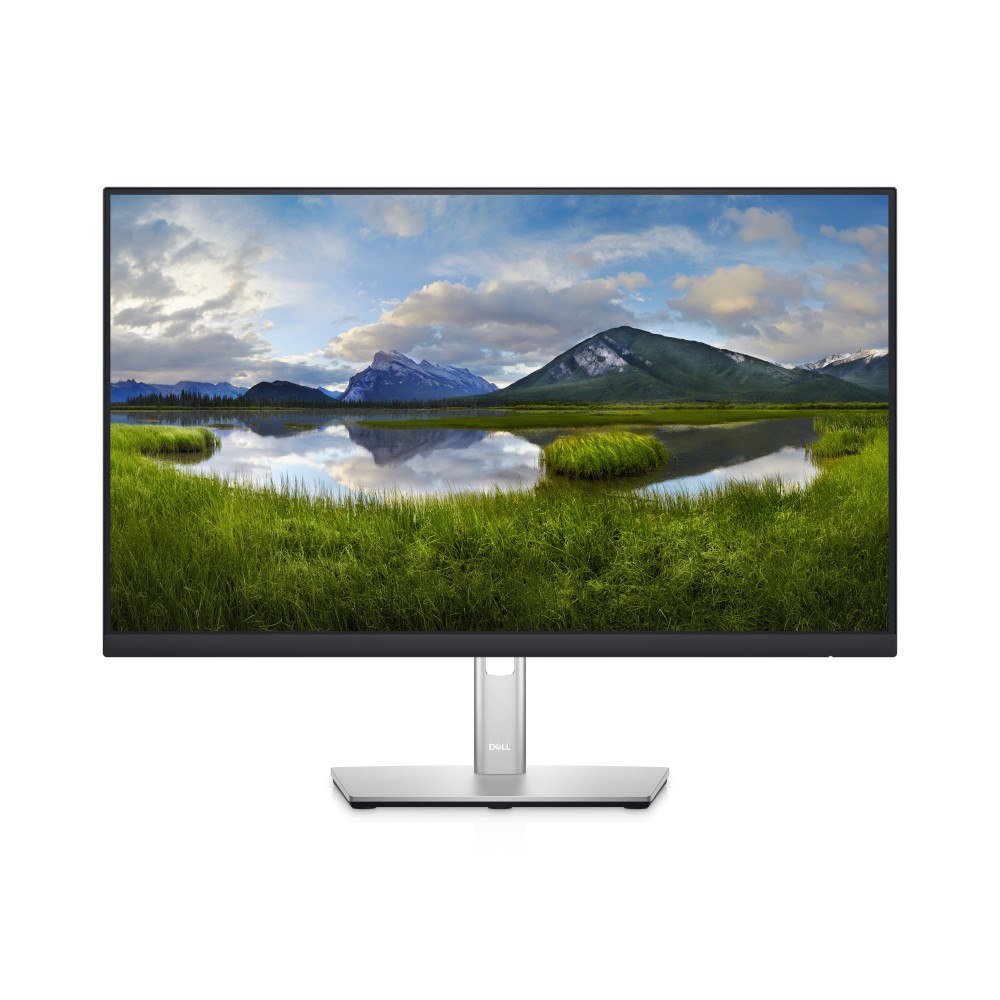 DELL DELL P Series Bildskärmen 24 USB-C Hub – P2422HE