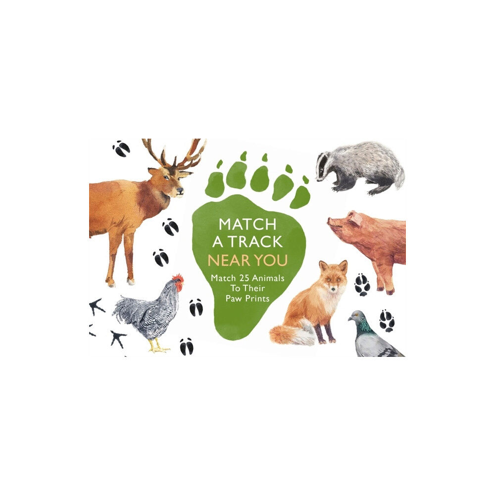 Orion Publishing Group NON Boo Match a Track Near You (bok, eng)