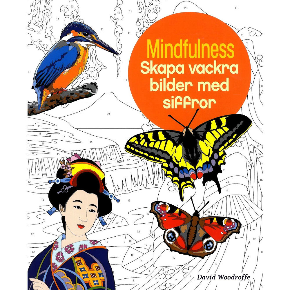 David Woodroffe Mindfulness : skapa vackra bilder med siffror (häftad)