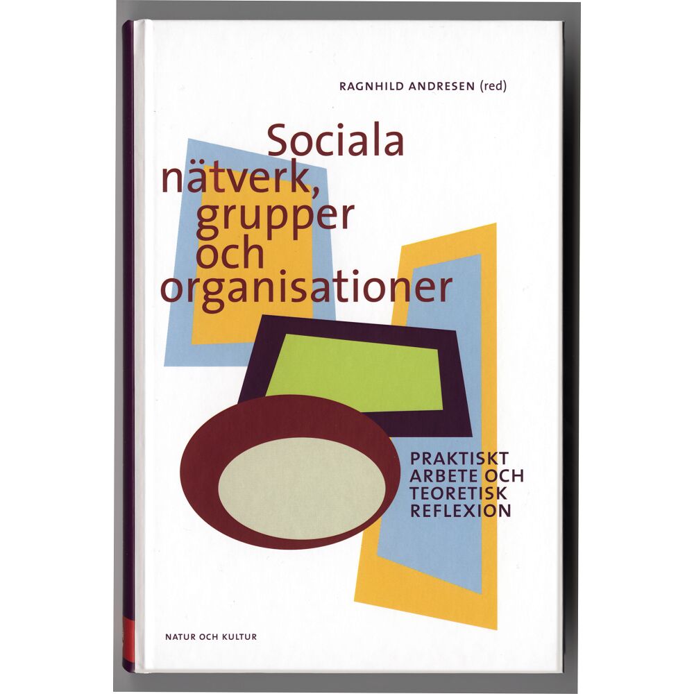 Natur & Kultur Läromedel och Akademi Sociala nätverk, grupper och organisationer : praktiskt arbete och teoretisk reflexion (bok, kartonnage)