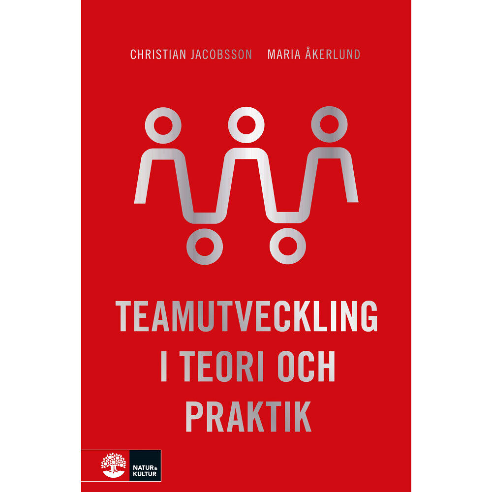 Christian Jacobsson Teamutveckling i teori och praktik (bok, danskt band)