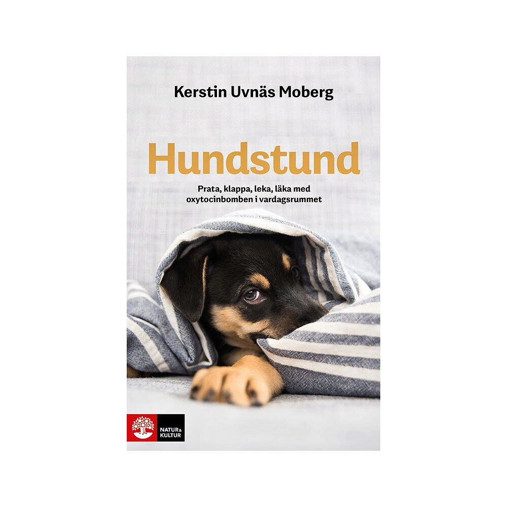 Kerstin Uvnäs Moberg Hundstund : prata, klappa, leka, läka med oxytocinbomben i vardagsrummet (bok, flexband)