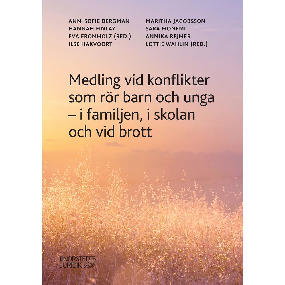 Hannah Finlay Medling i konflikter som rör barn och unga : i familjen, i skolan och vid brott (häftad)