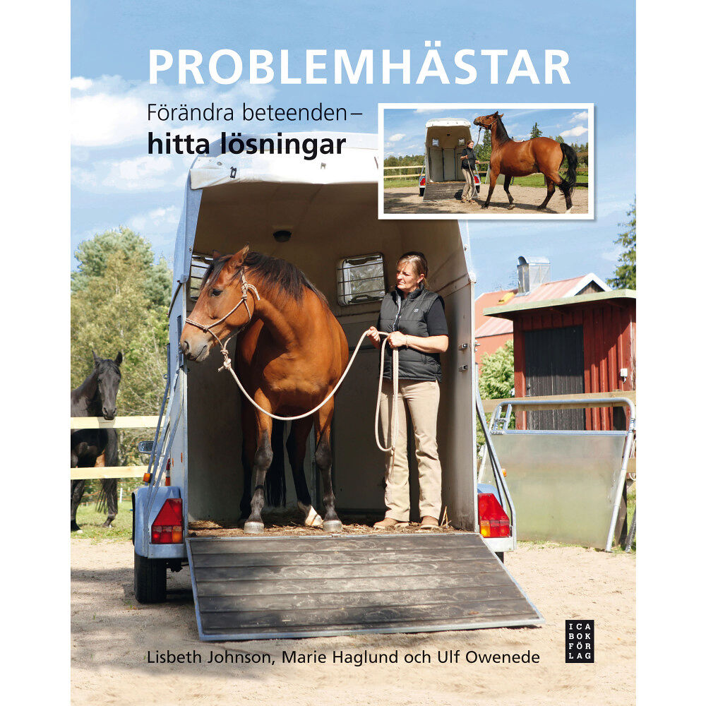 Ica Bokförlag Problemhästar (inbunden)
