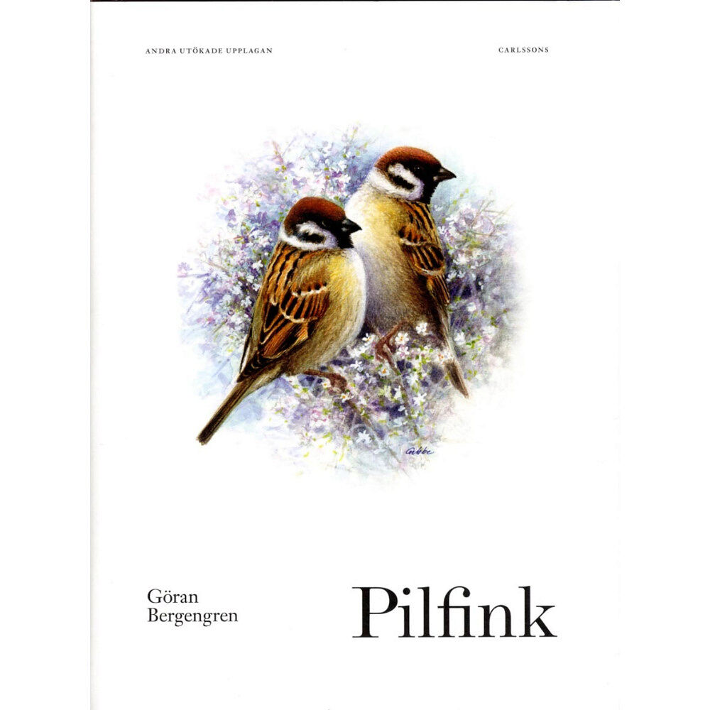 Göran Bergengren Pilfink (inbunden)