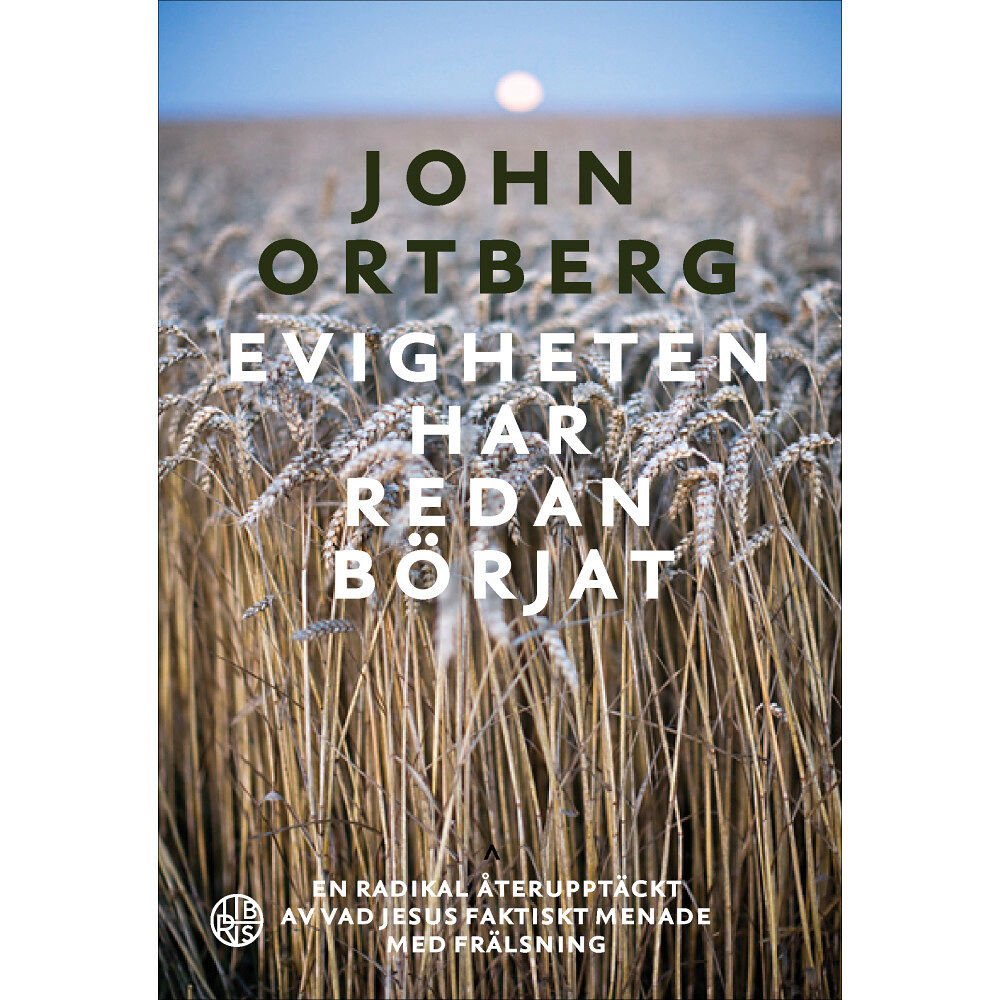 John Ortberg Evigheten har redan börjat : en radikal återupptäckt av vad jesus faktiskt menade med frälsning (inbunden)