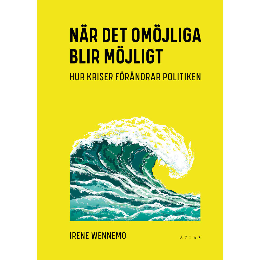 Irene Wennemo När det omöjliga blir möjligt (bok, kartonnage)