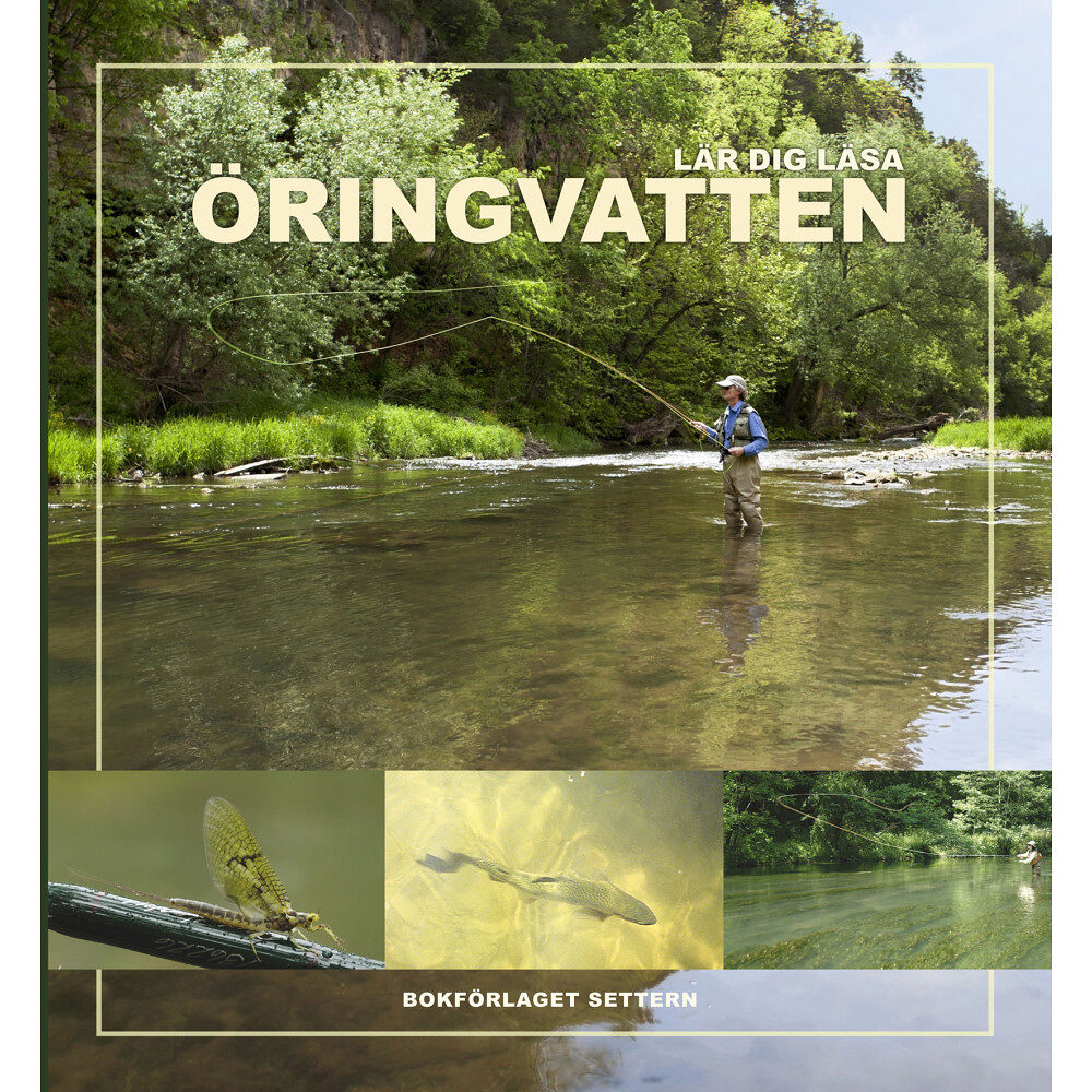 Dave Hughe Lär dig läsa öringvatten (inbunden)