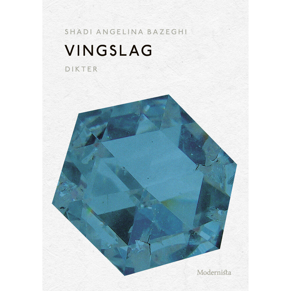 Shadi Angelina Bazeghi Vingslag (häftad)