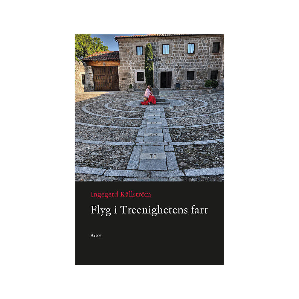 Ingegerd Källström Flyg i Treenighetens fart (bok, danskt band)