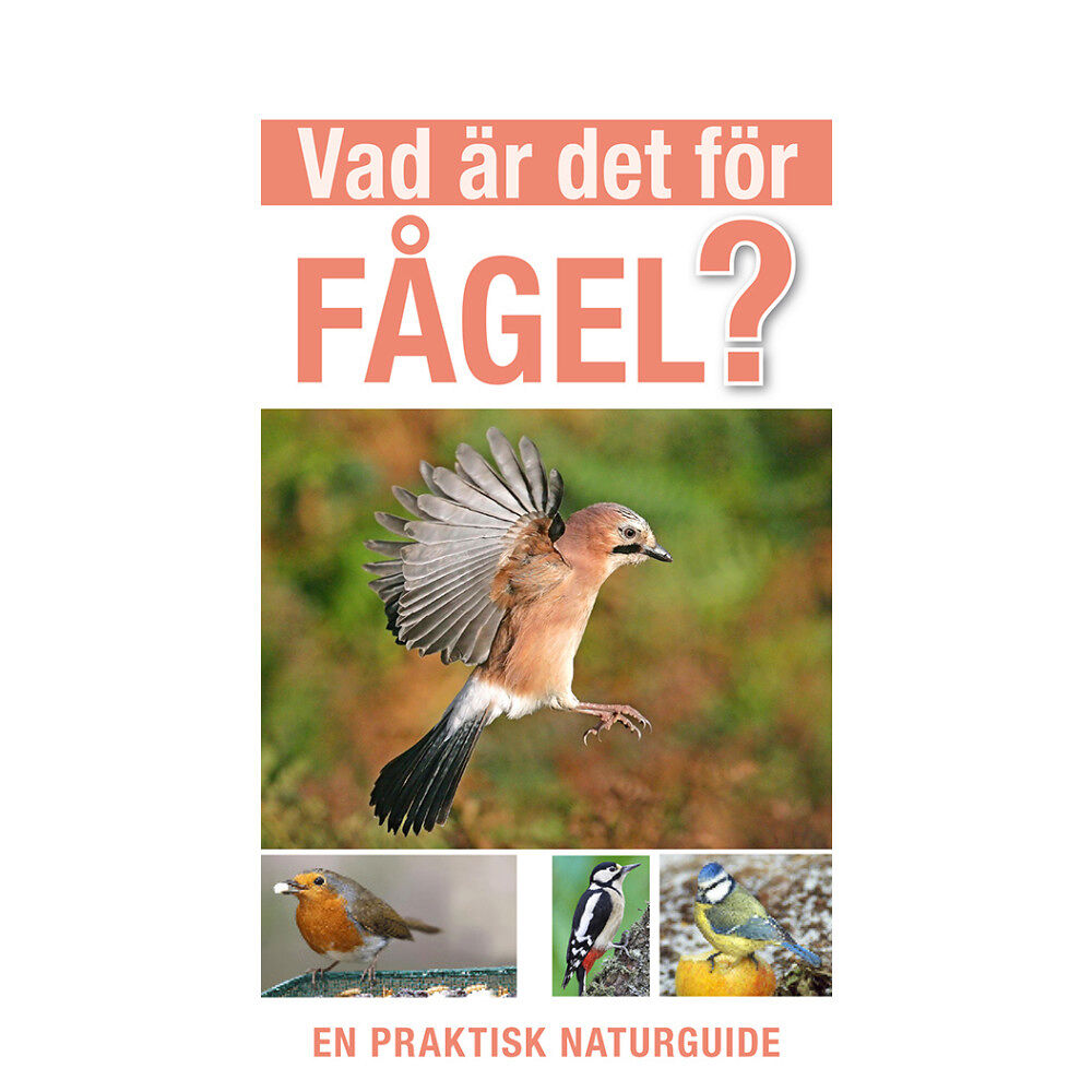Rob Hume Vad är det för fågel? (häftad)