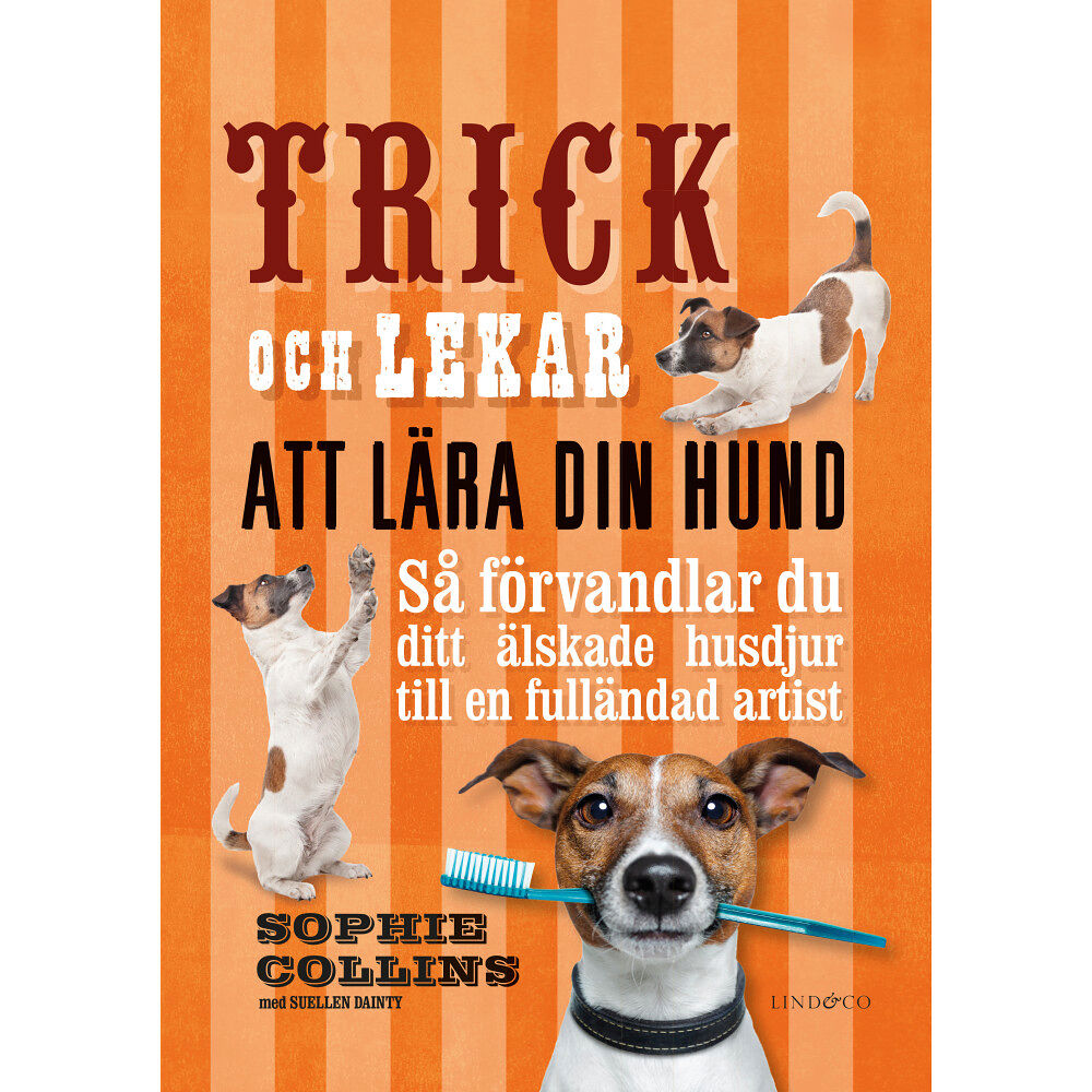 Sophie Collins Trick och lekar att lära din hund : så förvandlar du ditt älskade husdjur.. (inbunden)