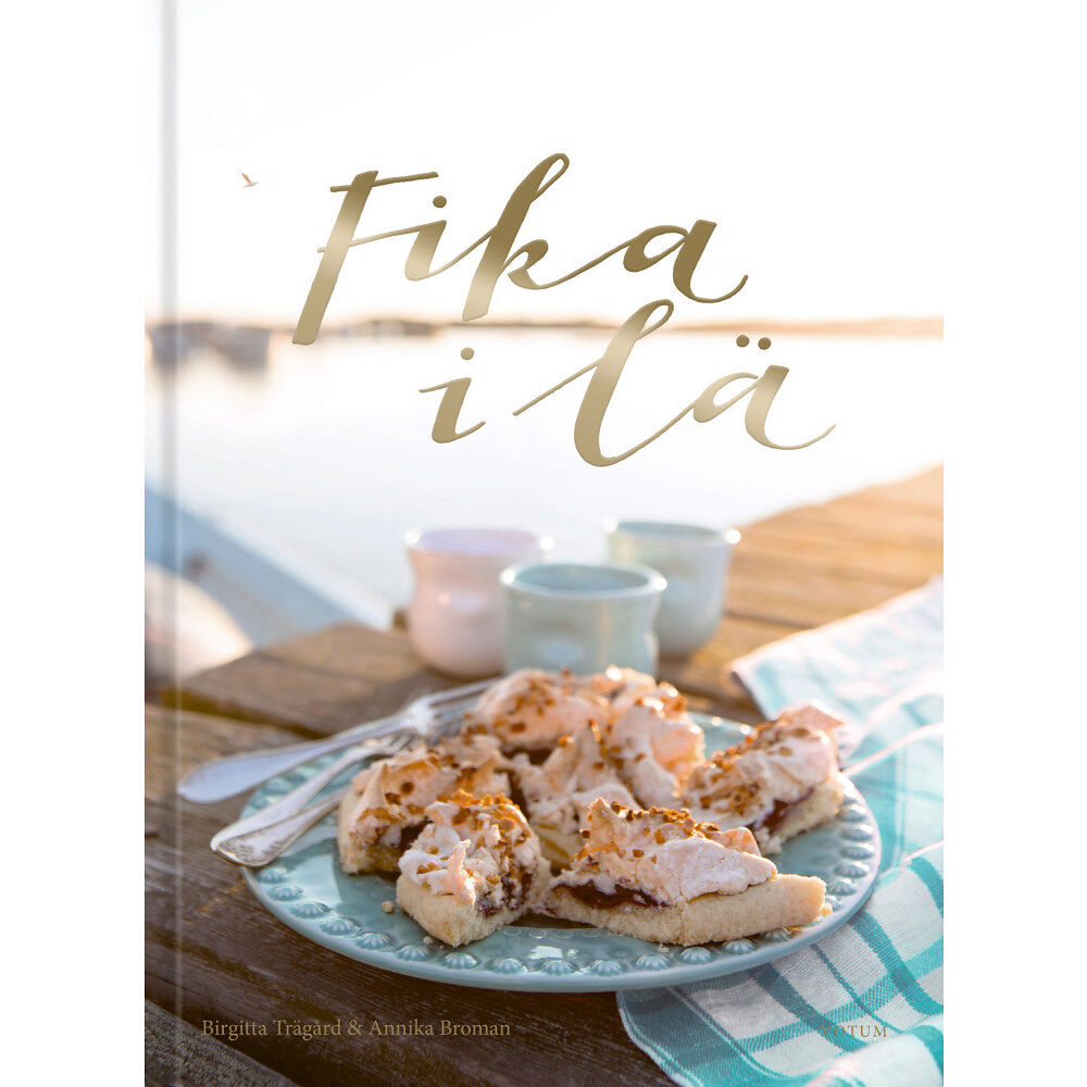 Birgitta Trägård Fika i lä (bok, danskt band)