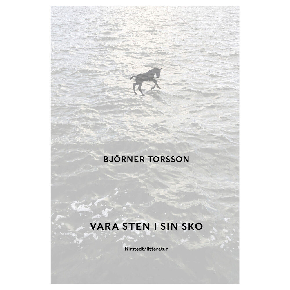 Björner Torsson Vara sten i sin sko (inbunden)