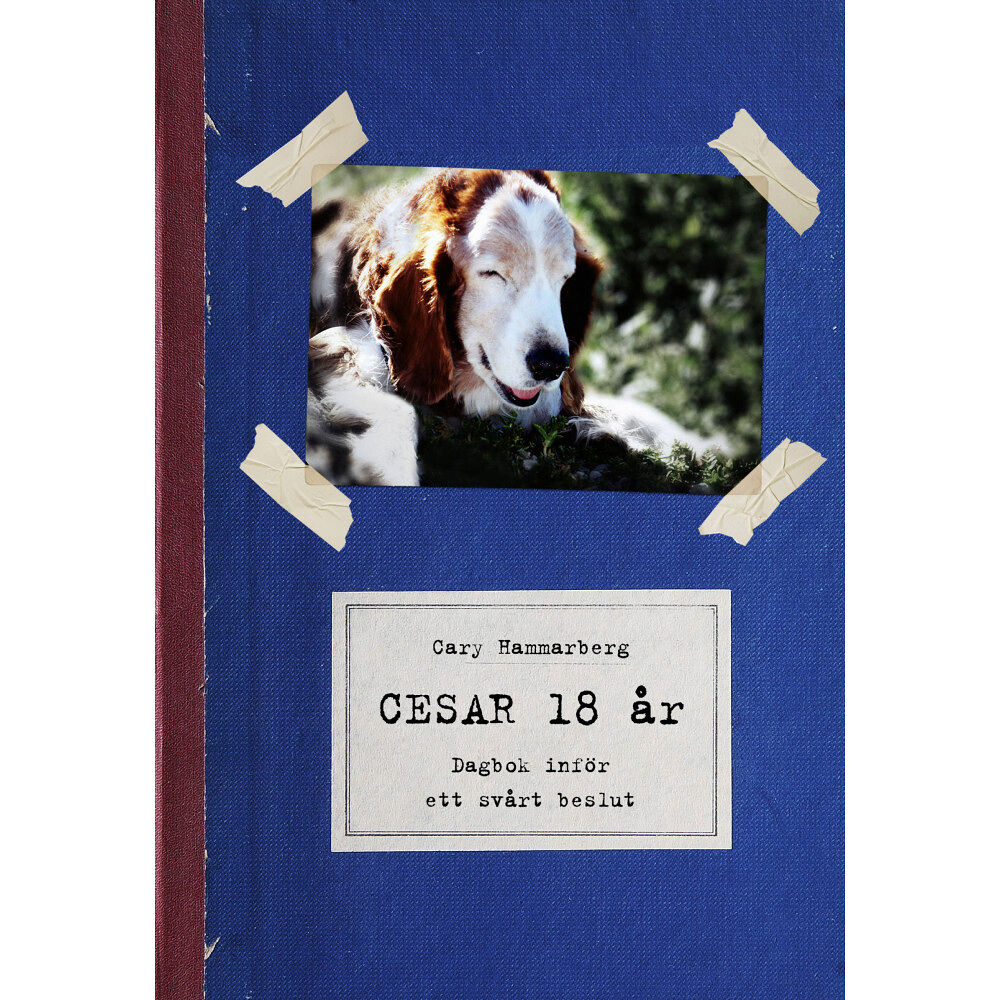 Midas Cesar 18 år : dagbok inför ett svårt beslut (bok, kartonnage)