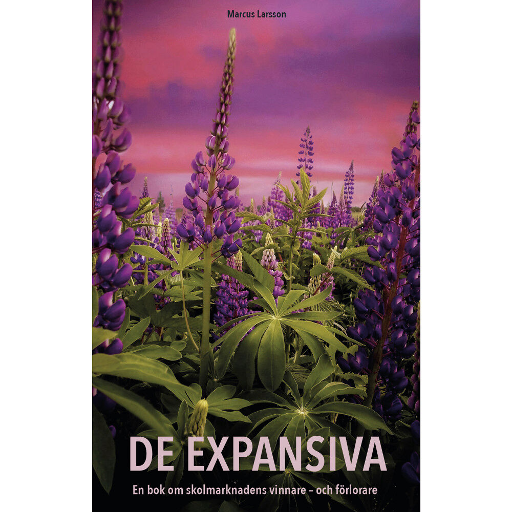 Marcus Larsson De expansiva : en bok om skolmarknadens vinnare och förlorare (häftad)
