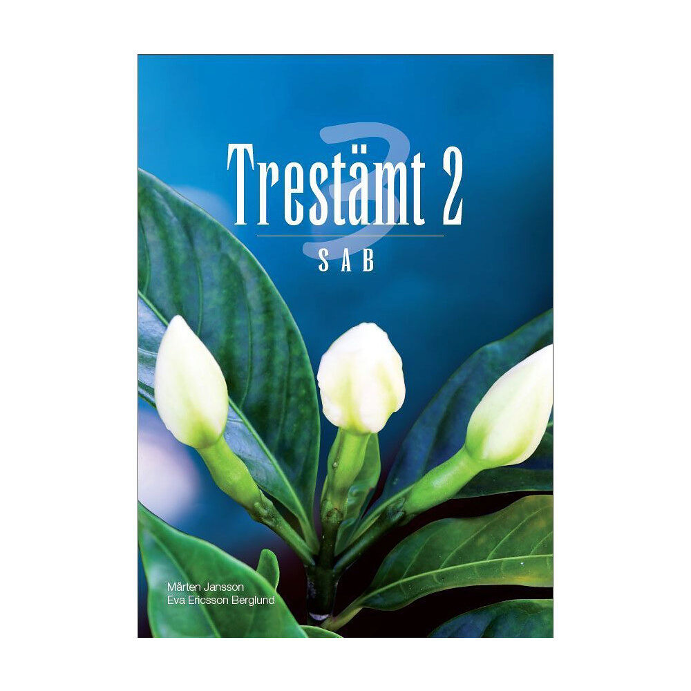 Mårten Jansson Trestämt 2 SAB (häftad)