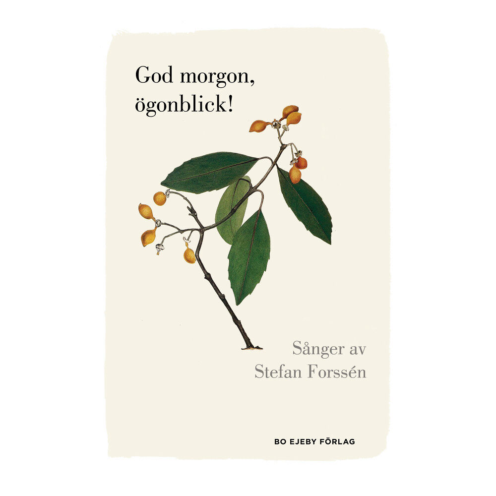 Stefan Forssén God morgon, ögonblick! (inbunden)