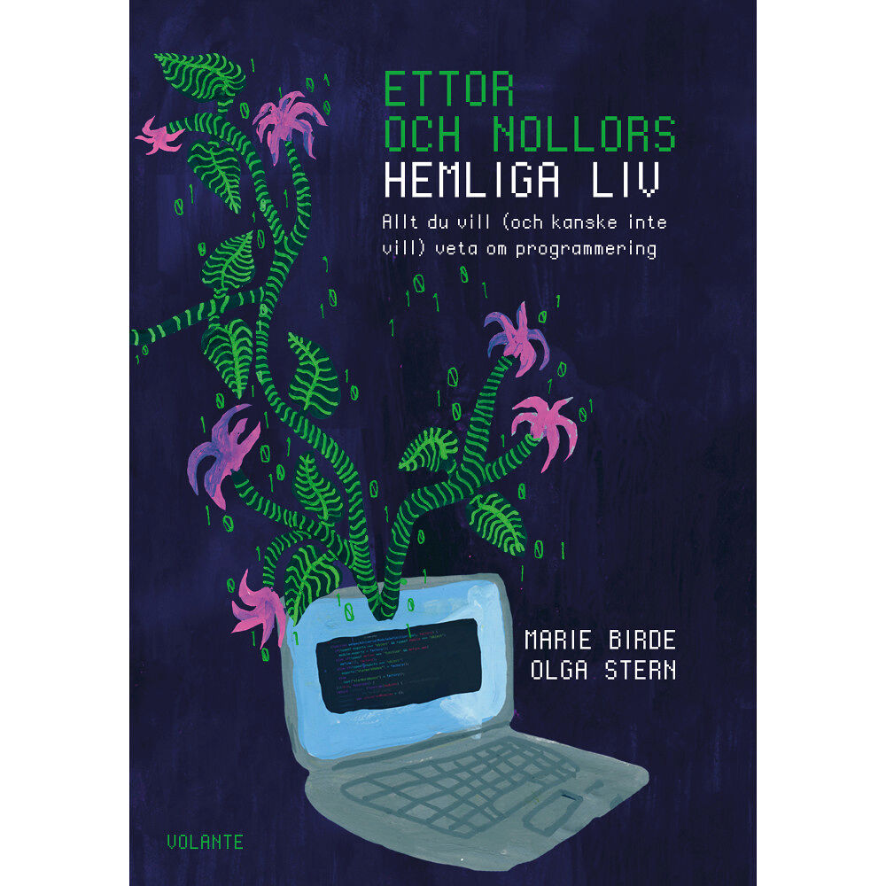 Olga Stern Ettor och nollors hemliga liv : Allt du vill (och kanske inte vill) veta om (häftad)