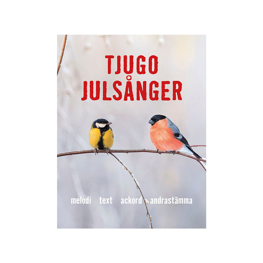 Urban Dahlberg Tjugo Julsånger tvåstämmiga (häftad)