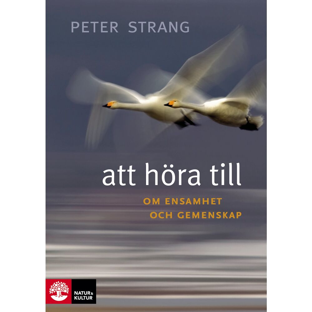 Peter Strang Att höra till : om ensamhet och gemenskap (inbunden)
