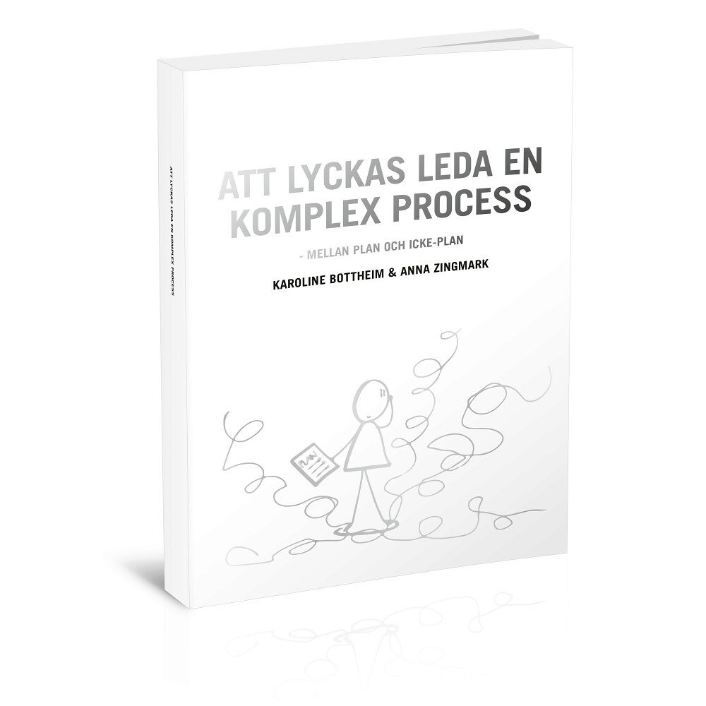 Karoline Bottheim Att lyckas leda en komplex process (häftad)