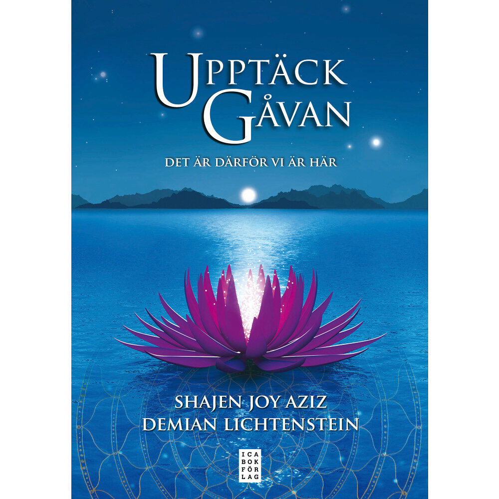 Demian Lichtenstein Upptäck gåvan : det är därför vi är här (inbunden)