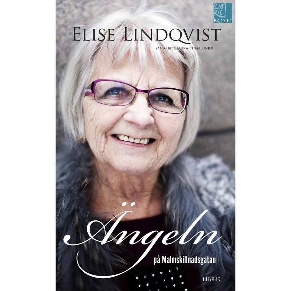 Elise Lindqvist Ängeln på Malmskillnadsgatan (pocket)