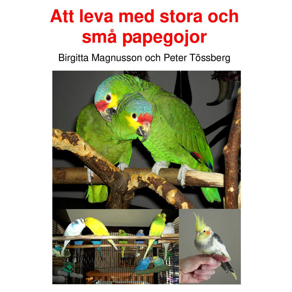 Peter Tössberg Att leva med stora och små papegojor (inbunden)