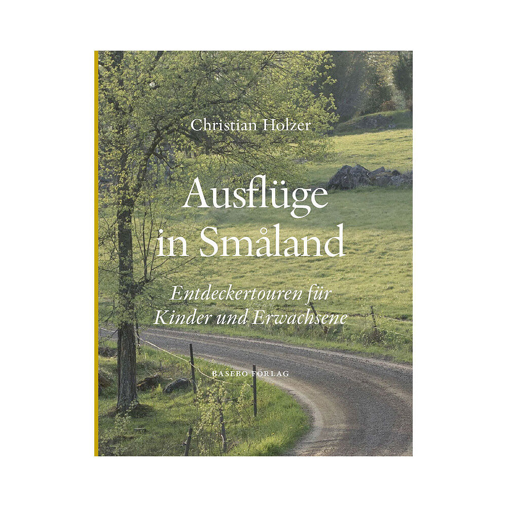 Christian Holzer Ausflüge in Småland (bok, kartonnage, ger)