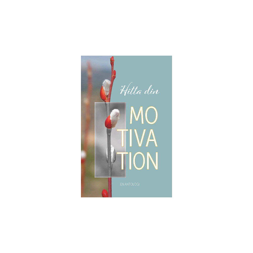 Nina Jansdotter Hitta din motivation (bok, kartonnage)