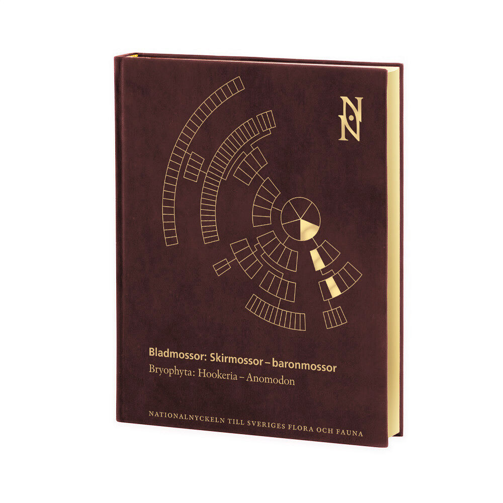 Lars Hedenäs Bladmossor : skirmossor - baronmossor. Bryophyta : hookeria - anomodon (bok, halvfranskt)
