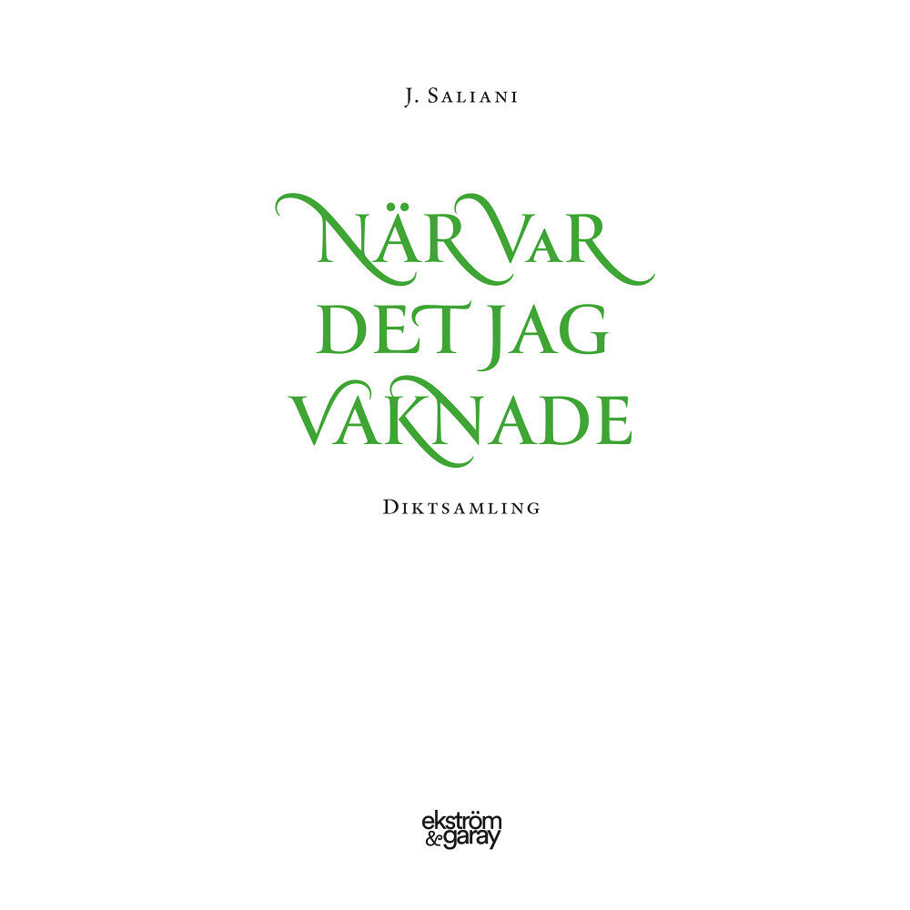 J. Saliani När var det jag vaknade (inbunden)