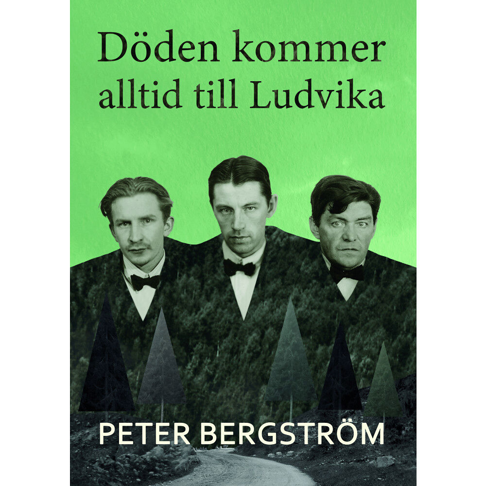 Peter Bergström Döden kommer alltid till Ludvika (inbunden)