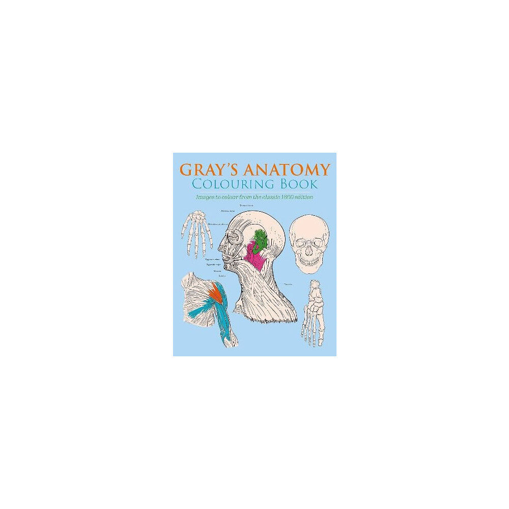 Henry Gray Gray's Anatomy Colouring Book (pocket, eng)