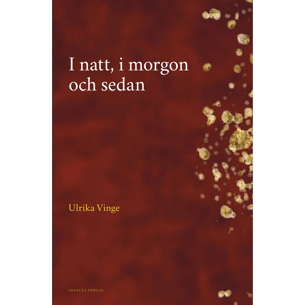 Ulrika Vinge I natt, i morgon och sedan (inbunden)