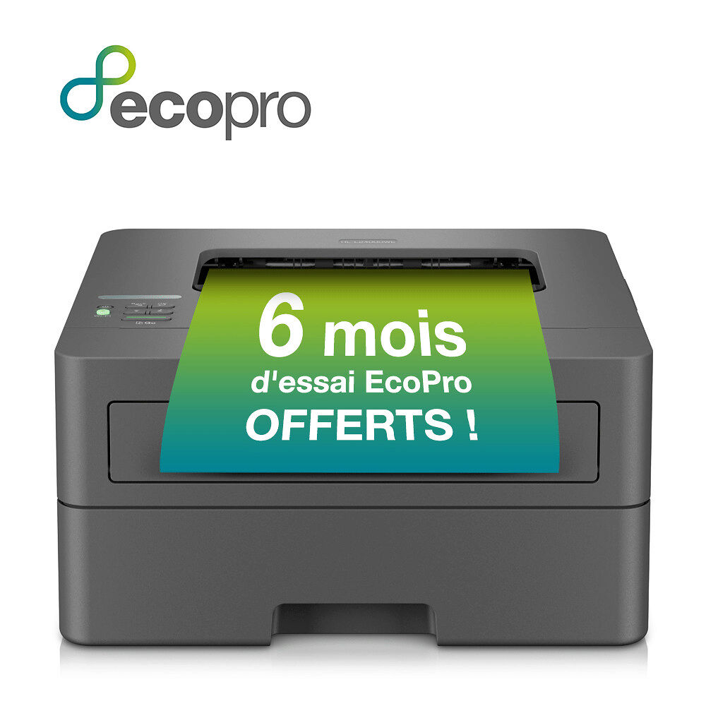 Brother Brother HL-L2400DWE - skrivare - svartvit - laser