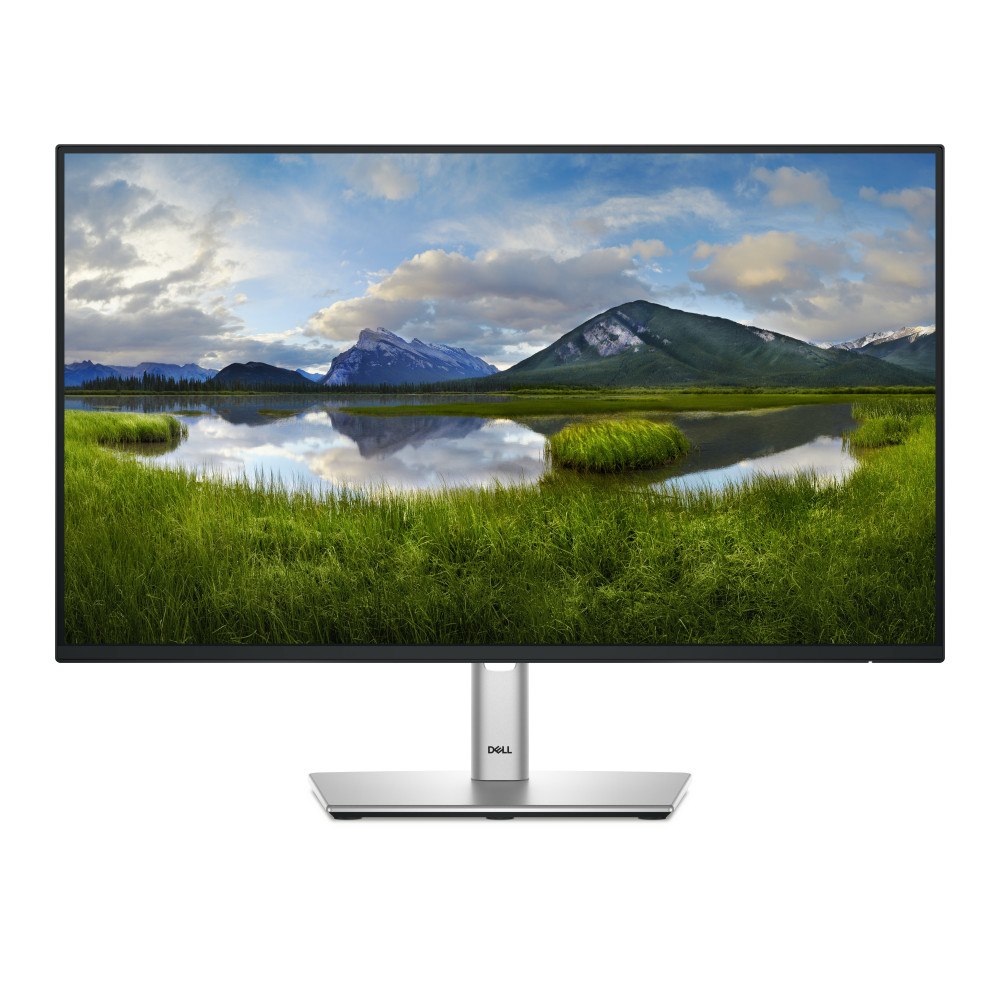 DELL DELL P Series P2425HE platta pc-skärmar 61 cm (24") 1920 x 1080 pixlar Full HD LCD Svart