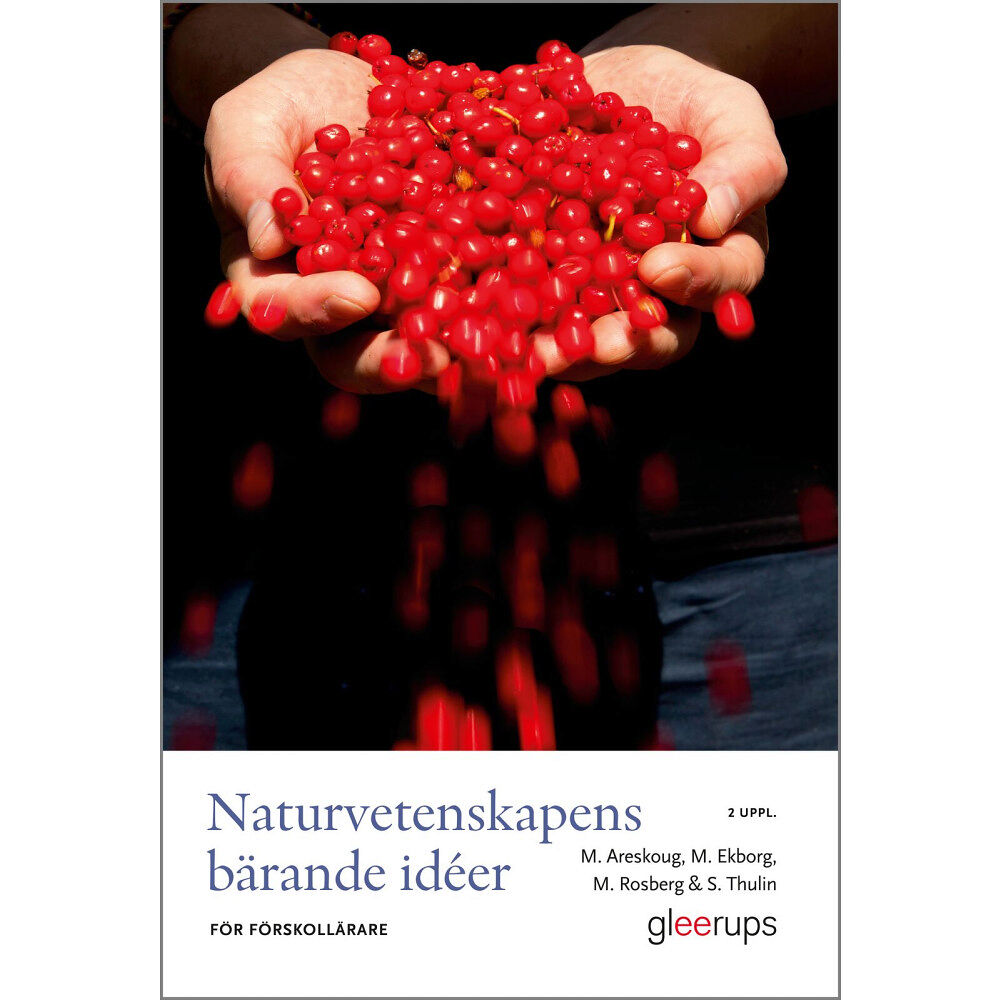 Mats Areskoug Naturvetenskapens bärande idéer för förskollärare (häftad)