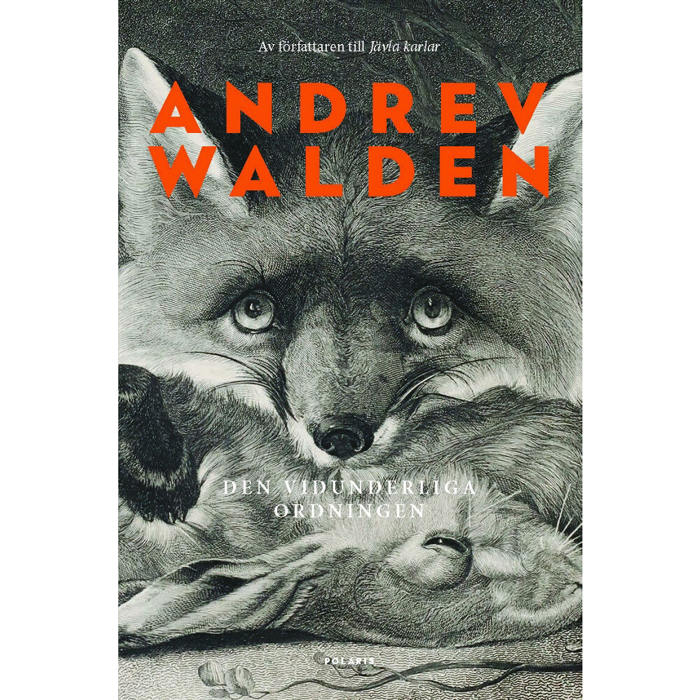 Andrev Walden Den vidunderliga ordningen (inbunden)