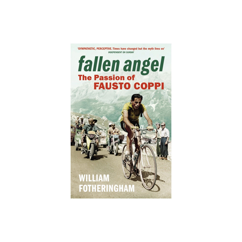Vintage Publishing Fallen Angel (häftad, eng)