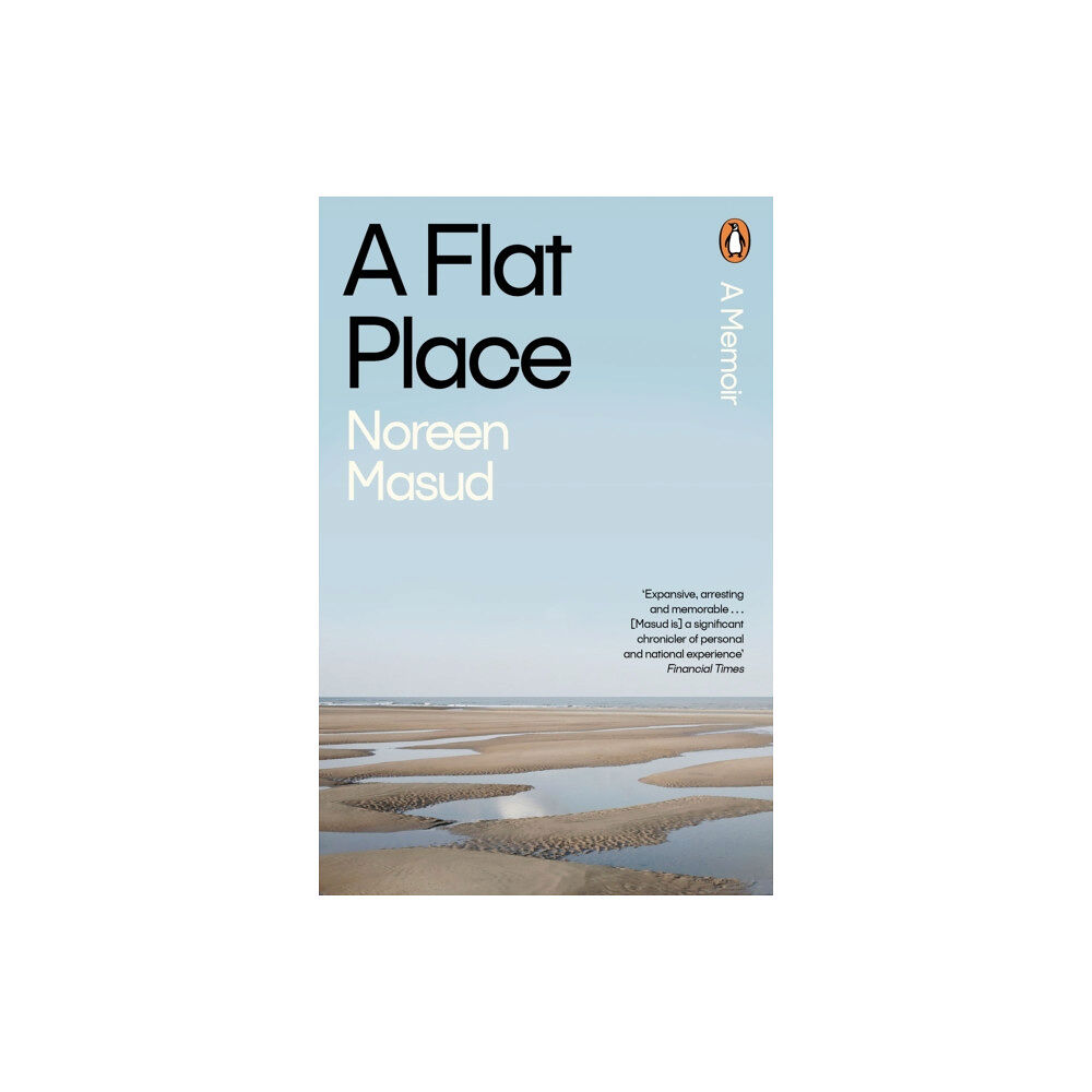 Penguin books ltd A Flat Place (häftad, eng)