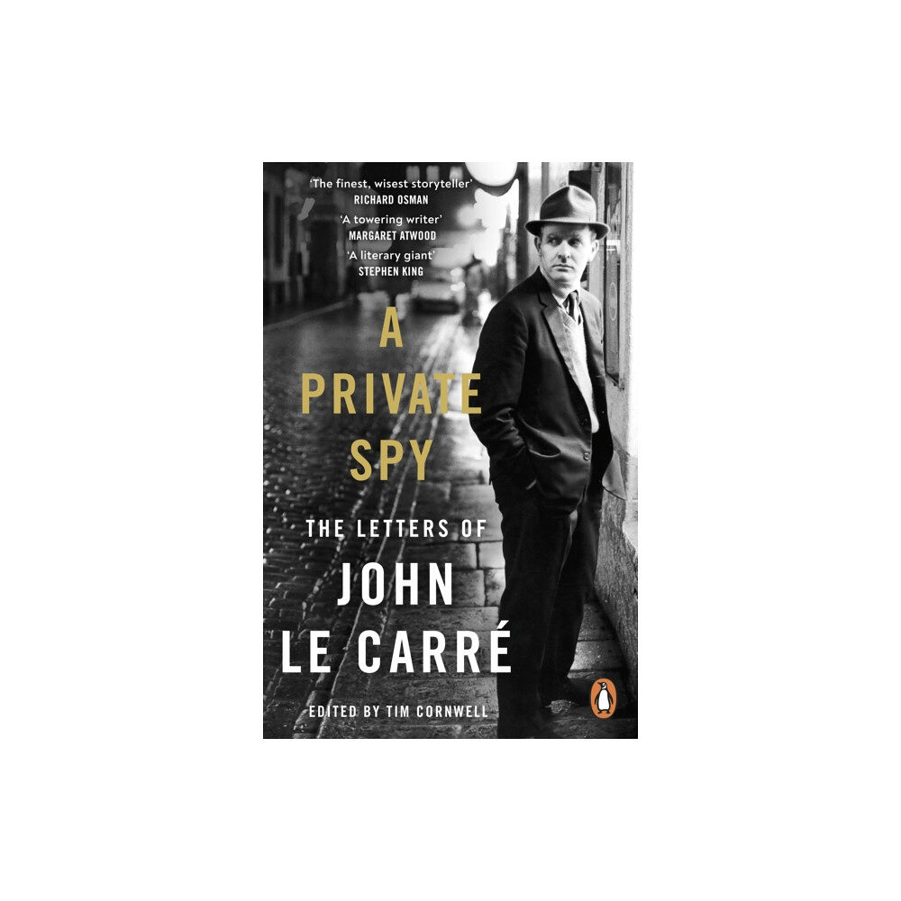 Penguin books ltd A Private Spy (häftad, eng)
