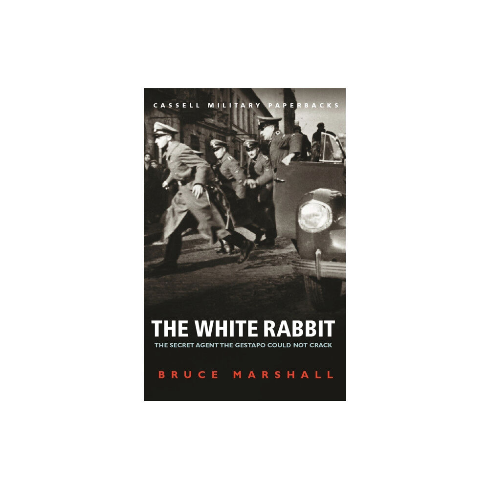 Orion Publishing Co The White Rabbit (häftad, eng)
