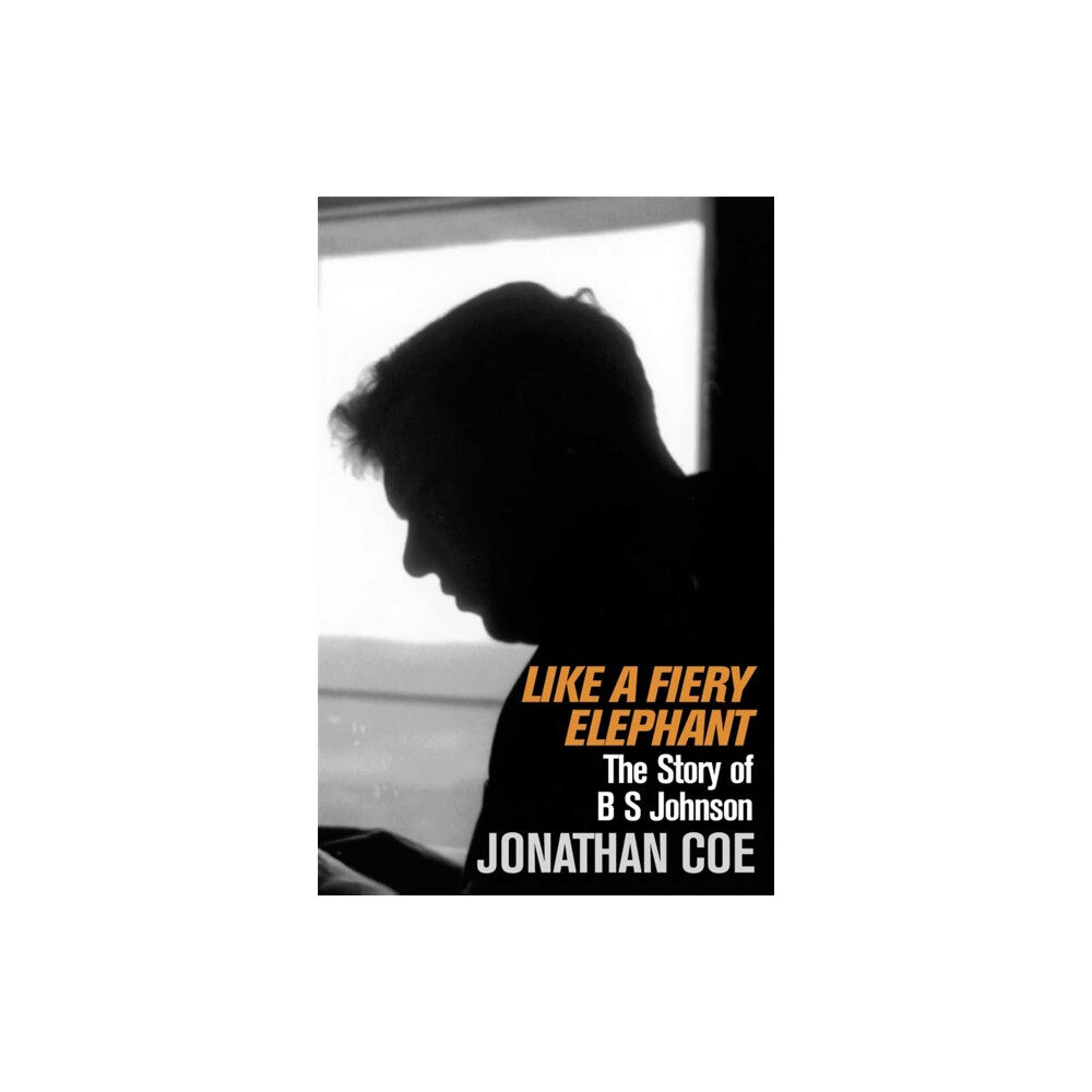 Pan Macmillan Like a Fiery Elephant (häftad, eng)