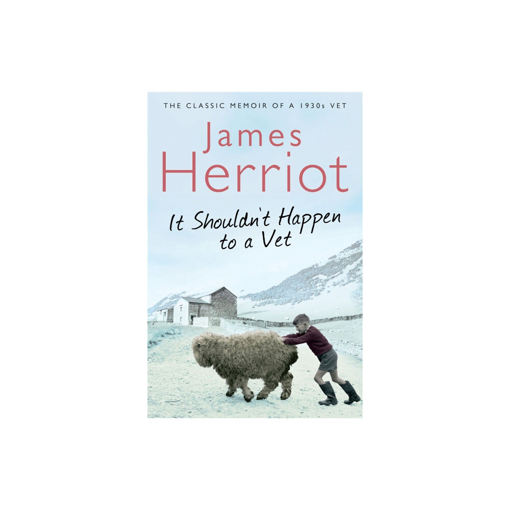 Pan Macmillan It Shouldn't Happen to a Vet (häftad, eng)