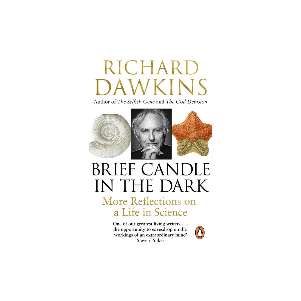 Transworld publishers ltd Brief Candle in the Dark (häftad, eng)