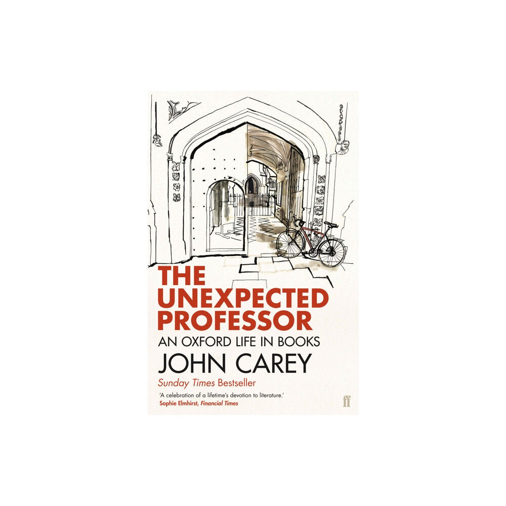 Faber & Faber The Unexpected Professor (häftad, eng)