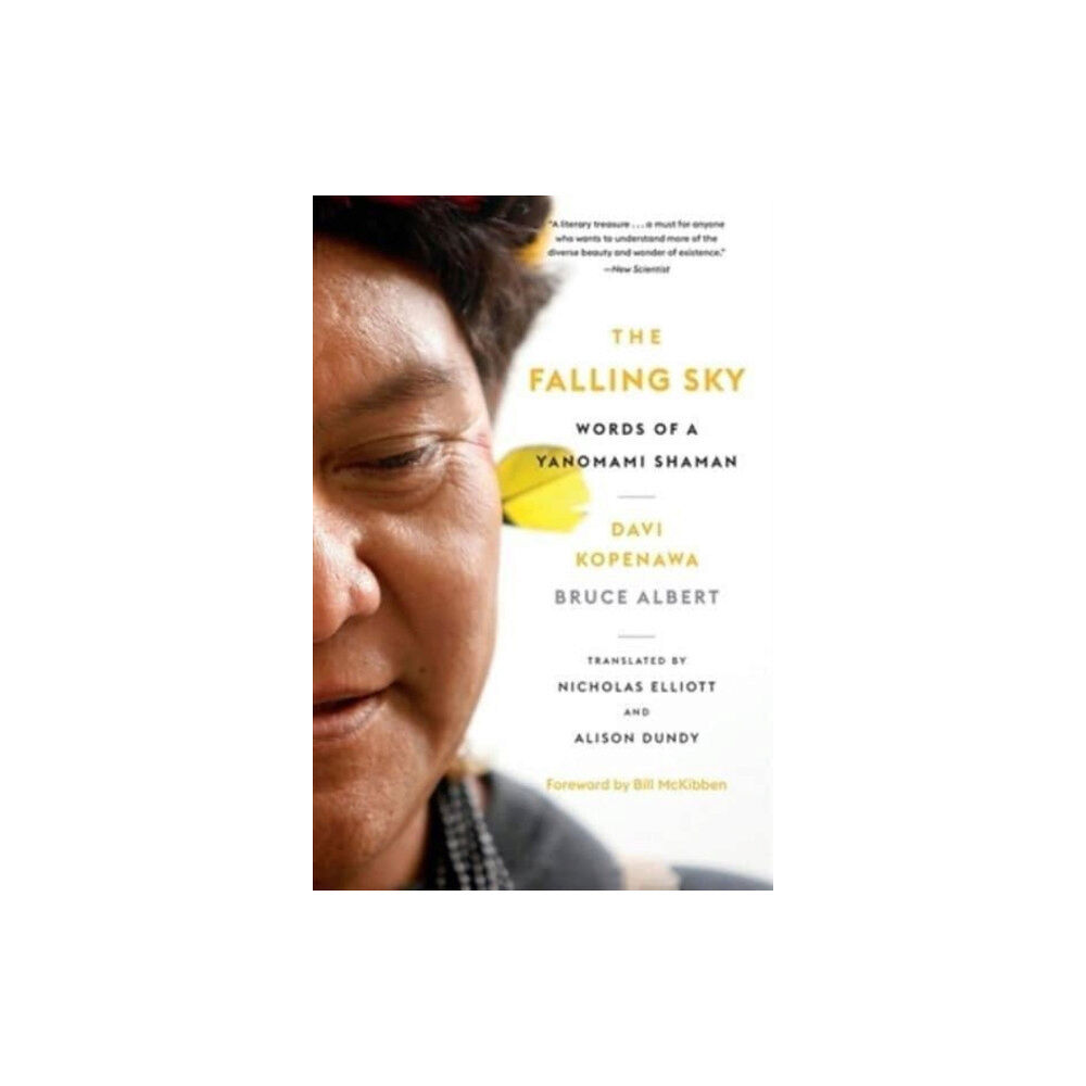 Harvard university press The Falling Sky (häftad, eng)